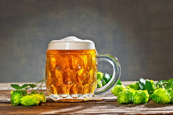 Natürmort hop koniler ve bira üretimi için ham maddeler — Stok fotoğraf
