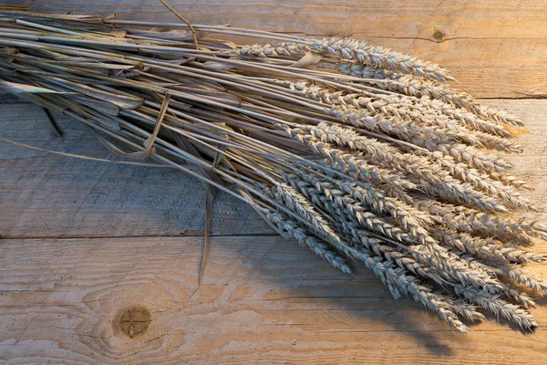 Sheaf of wheat — Stock Photo, Image