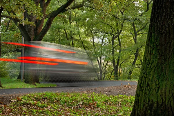 Snel gaan auto in het park met de stam van de boom — Stockfoto