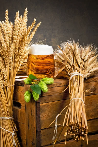 Glas bier en grondstof voor de bierproductie van — Stockfoto