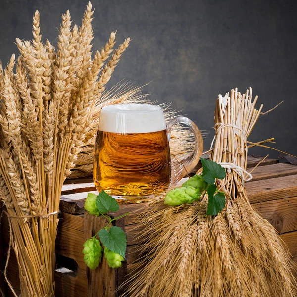 Verre de bière et matière première pour la production de bière — Photo