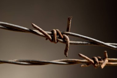 Dikenli tel koyu arka plan üzerinde detay