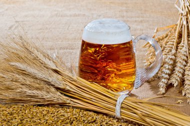 arpa ve buğday demeti ile bira cam