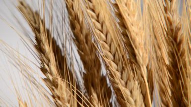 Ayrıntı arpa üzerinde mavi gökyüzü. Slider ile vurdu,