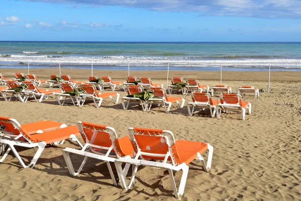 Lettini su una spiaggia di Gran Canaria — Foto Stock