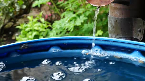 El agua de lluvia fluye hacia el barril en el jardín . — Vídeos de Stock