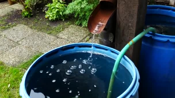 El agua de lluvia está fluyendo hacia el barril en el jardín. Acercar . — Vídeo de stock