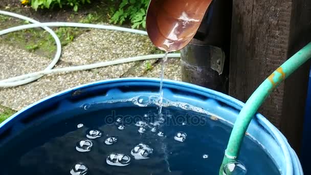 Νερό βροχής Streaming σε βαρέλι στον κήπο. Μεγέθυνση. — Αρχείο Βίντεο