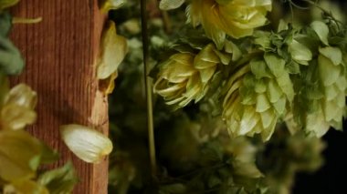 Kuru Hop koniler detayını. Slider ile vurdu.