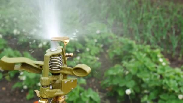 Automatiska Sprinkler i trädgården — Stockvideo