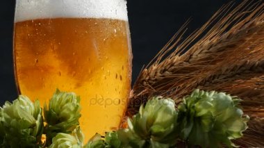 Malt ve şerbetçiotu bira cam. Bira cam içine dökme.