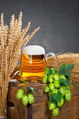 bardak bira ve bira üretimi için ham maddeler