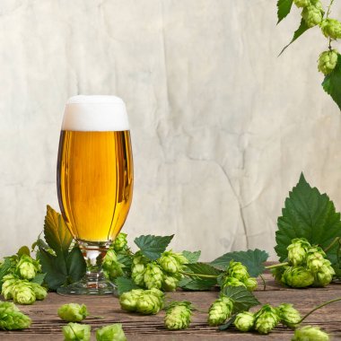 Natürmort hop koniler ve bardak bira ile