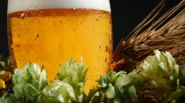 Malt ve şerbetçiotu bira cam. Kabarcıklar bardakta artıyor.