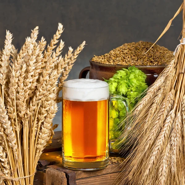 Glas öl med råvara för att tillverka öl — Stockfoto