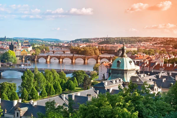 夏のプラハ橋。チェコ共和国. — ストック写真
