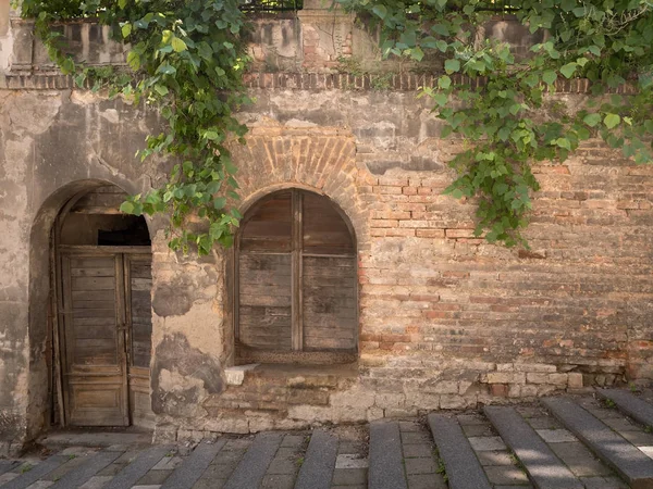 A Old Mysterious Wall with Grapes Plant — Stock Photo, Image