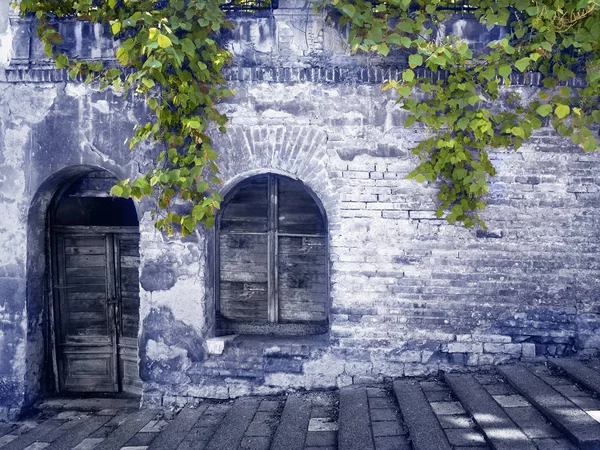 Старая мистическая стена с посаженными в голубой цвет виноградниками . — стоковое фото