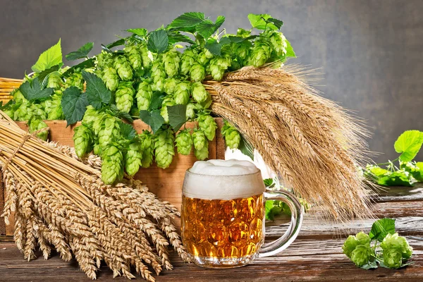 Stillleben mit Hopfendolden und Rohmaterial für die Bierproduktion — Stockfoto