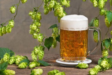 Natürmort hop koniler ve bardak bira ile