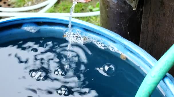 El agua de lluvia fluye hacia el barril — Vídeo de stock