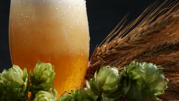 Bierglas mit Malz und Hopfen. Bier ins Glas gießen. — Stockvideo