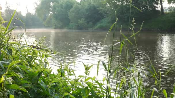 Morgon River vid soluppgången. Ingen rörelse kamera. Ohre floden. Tjeckien. — Stockvideo