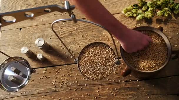 Home Brewing di birra. Man Weighs Barley.Bianco e nero. Vista sopra . — Video Stock