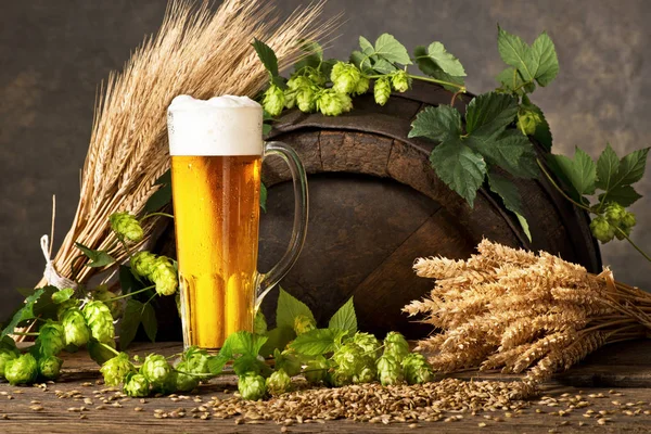 Bierglas mit Hopfen und RW-Material für die Bierproduktion. — Stockfoto