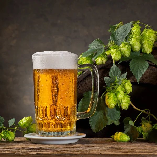 Vida tranquila com vidro de cerveja e cones de lúpulo — Fotografia de Stock