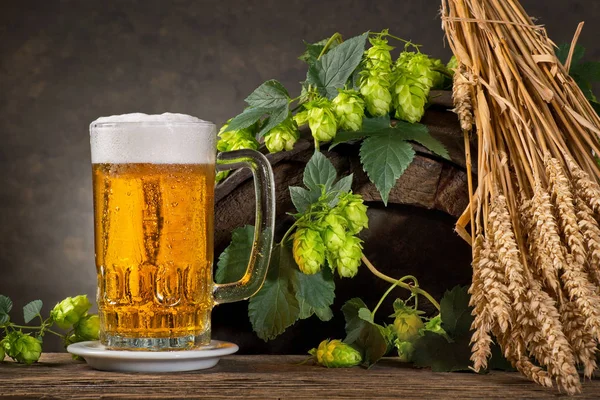 Still life with Hops,  Beer and Barley. — Stock Photo, Image
