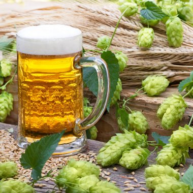 bira cam ve hop koniler ile natürmort