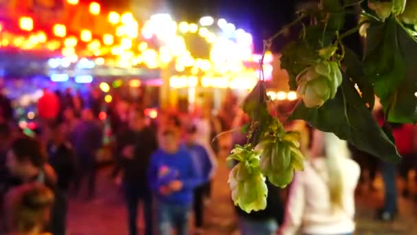 Zatec, Τσεχική Δημοκρατία - 2 Σεπτεμβρίου 2017: κλαδί του λυκίσκου Zatec λυκίσκου και φεστιβάλ μπύρας το βράδυ. Δημοκρατία της Τσεχίας. — Αρχείο Βίντεο