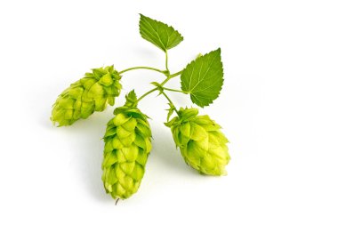 Beyaz Arkaplanda Sıçrama Konileri İzole Edildi.