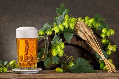 Atlama, bira ve arpa ile natürmort.