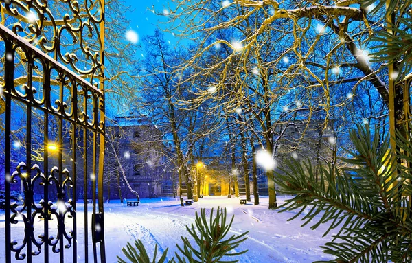 Parque de inverno com porta de entrada na queda de neve à noite — Fotografia de Stock