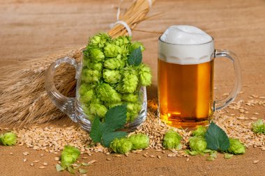 bardak bira bira üretimi için hammadde ile