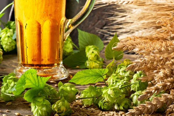 Dettaglio di Bicchiere di Birra con Luppolo e Orzo — Foto Stock