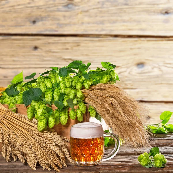 Copo de cerveja com lúpulo e cevada no chão de madeira . — Fotografia de Stock