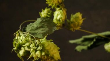 Atlama koniler detayını. Yakınlaştır. Slider ile vurdu.