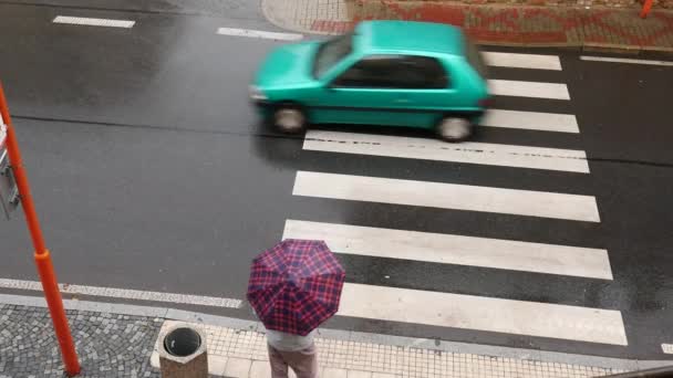 Öreg, átkelés a gyalogos átkelés az esőben. Szemközti nézet. — Stock videók