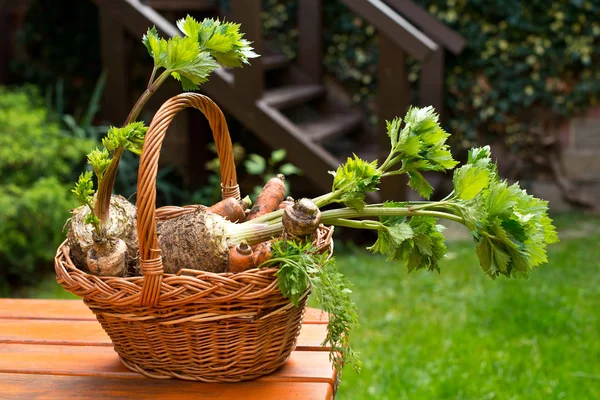 Parley, Celery and Carrots in the Wicker Basket. — Stock Photo, Image