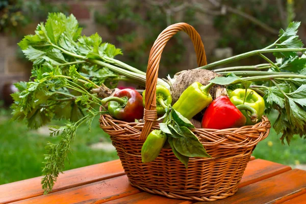 Paprika mit Wurzelgemüse im Weidenkorb. — Stockfoto