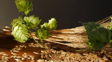 Hop koniler ve arpa.