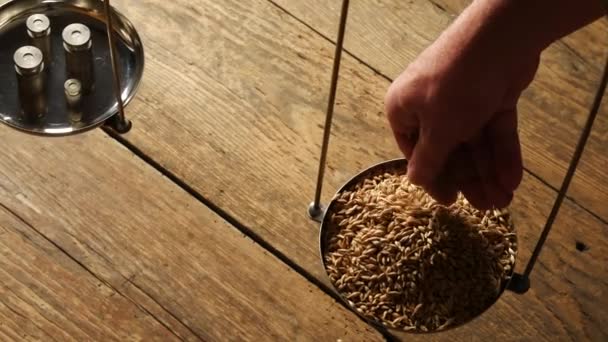 L'homme pèse le malt pour le brassage à domicile de la bière . — Video