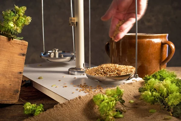 Home Brewing di birra. L'uomo pesa orzo . — Foto Stock