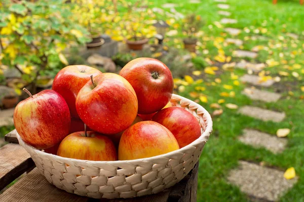 Κόκκινα μήλα στο μπολ στον κήπο. — Φωτογραφία Αρχείου