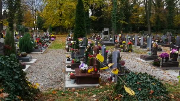 Město Žatec, Česká republika - 28. října 2017: hřbitov v městě Žatci v den všech duší. — Stock video