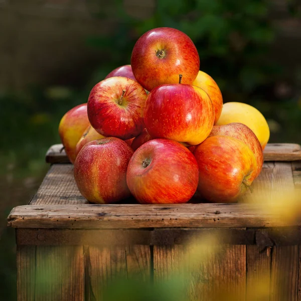Czerwone jabłka na starej drewnianej skrzyni. — Zdjęcie stockowe