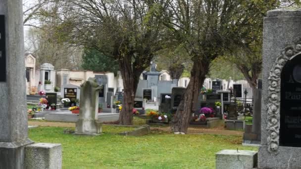 Bohusovice Nad Ohri, Czec Republiken-November 8, 2017: Cemetery i alla själars dag. — Stockvideo